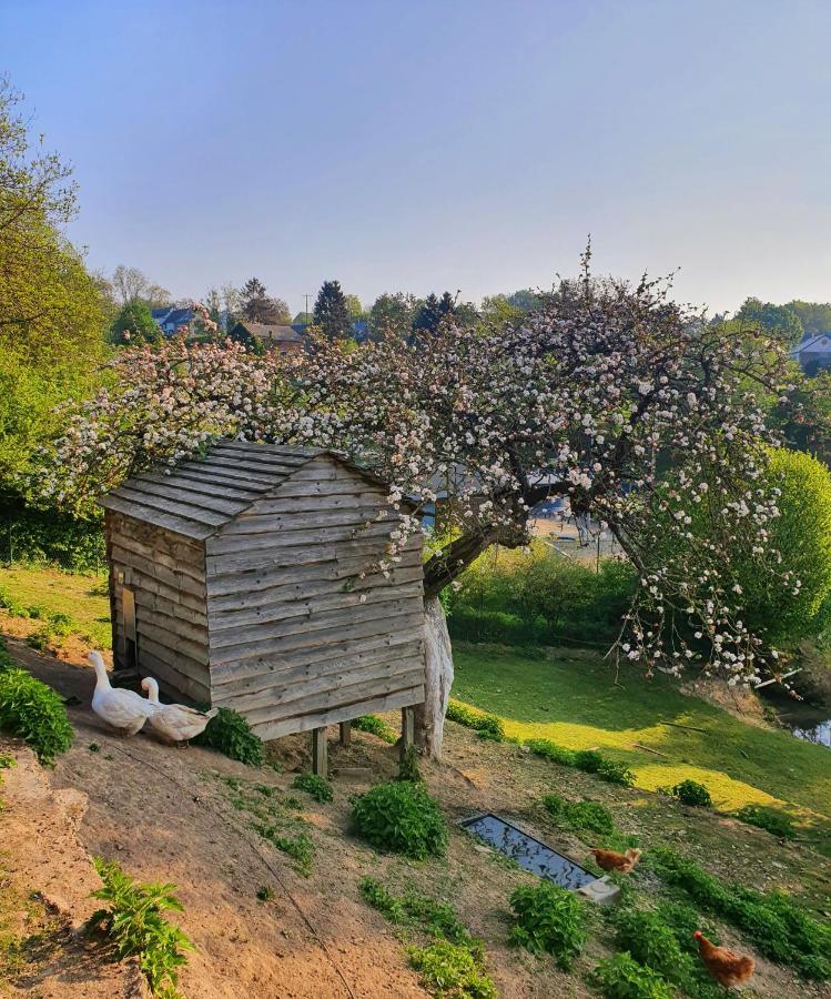 La Maison Du Sabotier Custinne Eksteriør billede