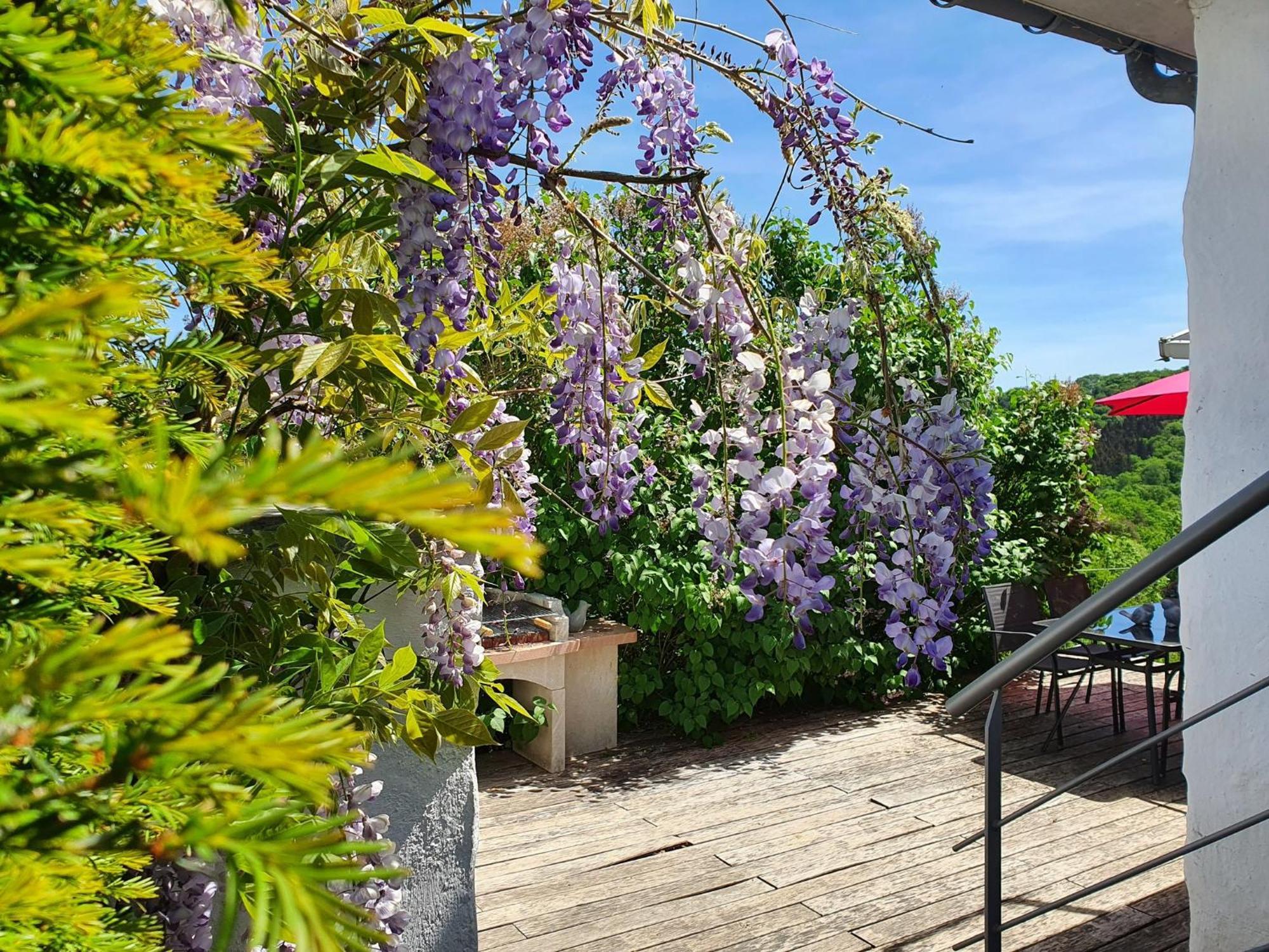 La Maison Du Sabotier Custinne Eksteriør billede
