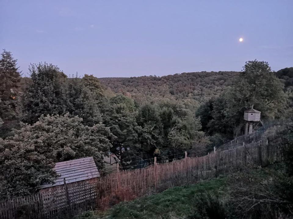 La Maison Du Sabotier Custinne Eksteriør billede